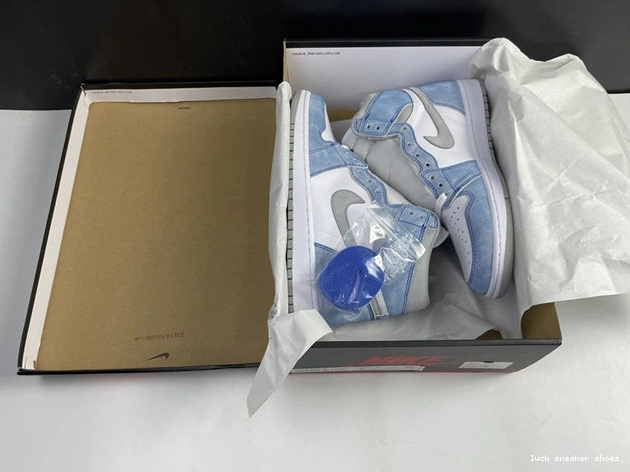 Cheap LUCY Sustainable Jordan1 3603 Grey Hyper Royal Retro 555088- Smoke 1026